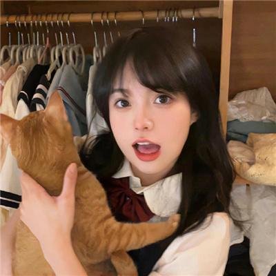 暗芝居第六季